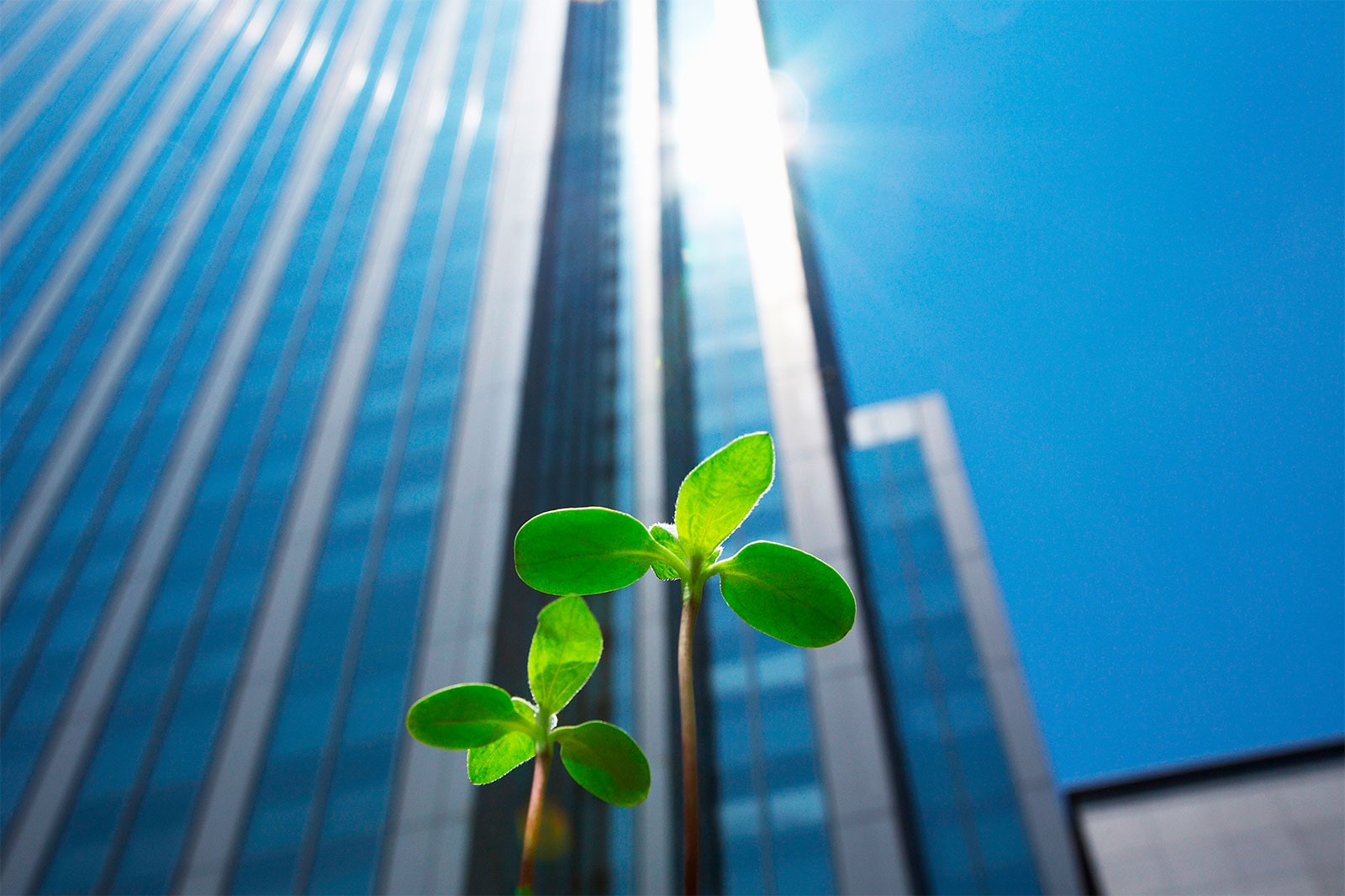 多角化経営で安定した成長を実現？「コングロマリット企業」とは | 事業成長・経営力アップ | 弥報Online